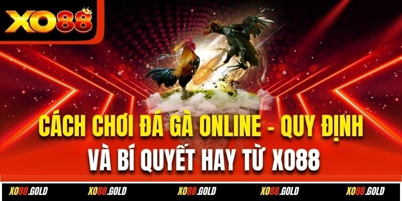 Bí quyết chọi kê trực tuyến chắc thắng