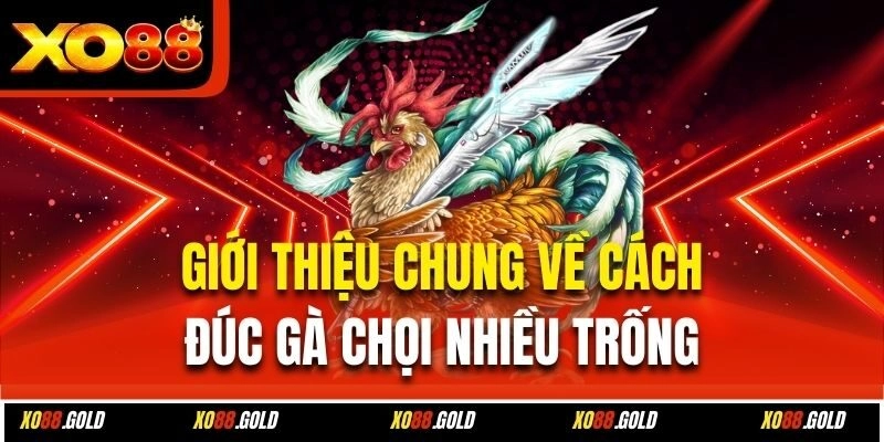 Giới thiệu chung về cách đúc gà chọi nhiều trống 