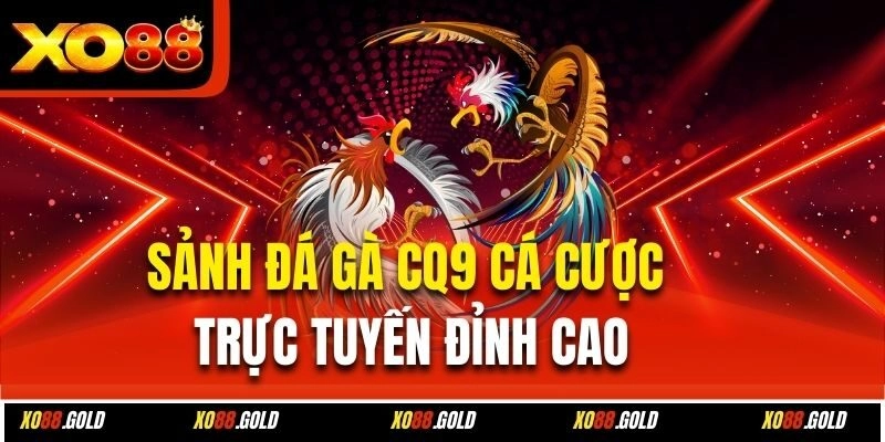 Sảnh Đá Gà CQ9 – Điểm Đến Hấp Dẫn Cho Dân Chơi Đam Mê