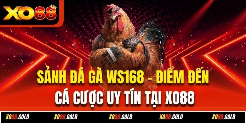 Sảnh Đá Gà WS168 – Điểm Đến Cá Cược Uy Tín Tại Xo88